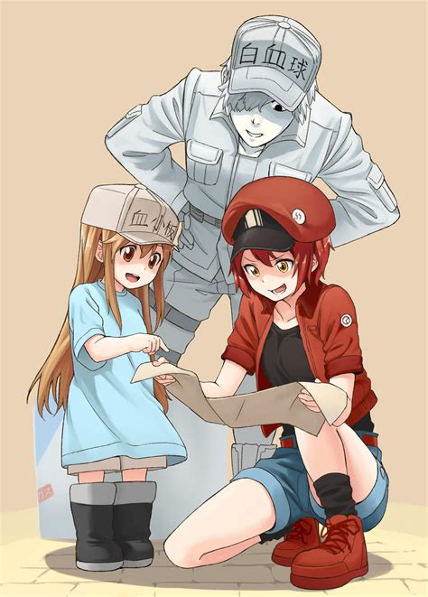 hataraku saibou